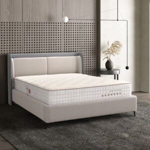 Premium Başlık - Görsel 1