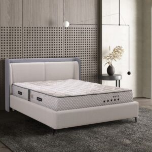 Premium Baza - Görsel 1